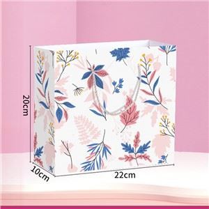 Papirnata darilna vrečka po meri